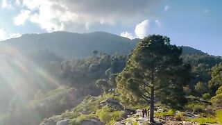 Beautiful natural scene