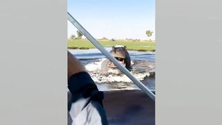 She Thought They Had a Bond" - When Animals Fight Back #11