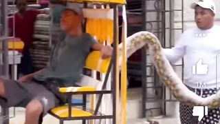 Fake snake prank