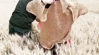Faany clip
