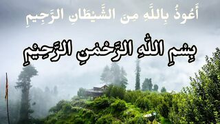 Soratul Lahab | soratul Masad | سورت المسد | سورت اللھب