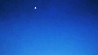 Psl highlight today