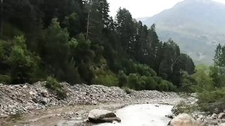 Watch the joke!!!When the electric fish meets the snake.Video 2023