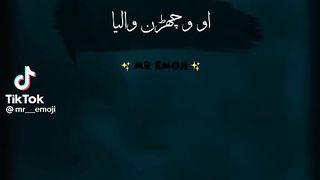 Girl poetry Punjabi ♥️