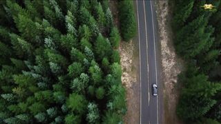 Horror Movie Action Trailer 1080HD