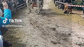 КОНСКА КУШИЯ