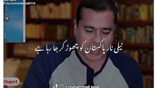 Telenor company ban ? ????