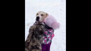 ДЕЦА