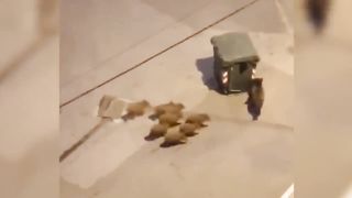 Amazing events recorded by camera【10】