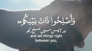 تلاوت قرآن پاک
