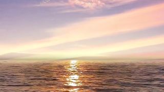 Beautiful Nature