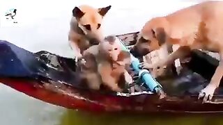 Mother love