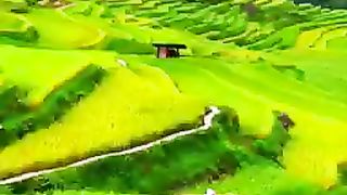 Incredible video ????