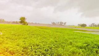 Beautiful weather
