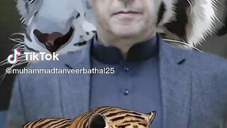 ???? lion of Pathan