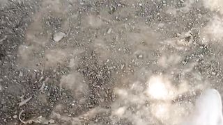 Cat video
