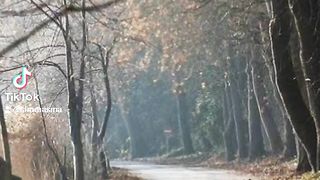 beautiful poetry with relaxing background music ????