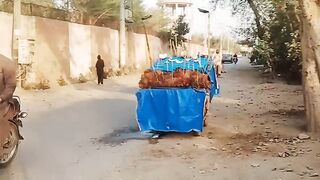 Multan#ka mal#plz like