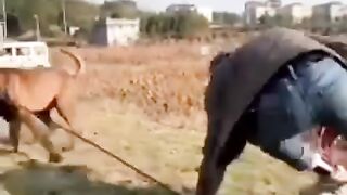 Awesome video ????