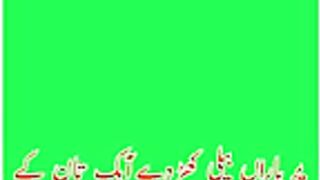 Yaar beli Song Green Screen Status Urdu Lyrics.