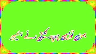 WhatsApp green screen status-New saraiki song status video-