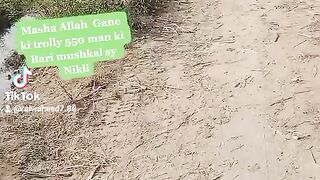Tractor video