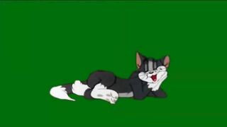 Witness the Magic of Tom and Jerry's Green Screen Adventure!