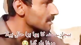 Peela Murgha Har gya #peela murgha