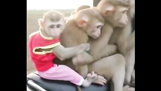 Funny video @#