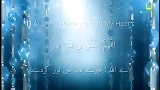 DUA E NOOR  Beautiful Voice  Shaykh Mishary Alfasy  English & Urdu Subtit_low. plz subscribe and watch my channel