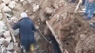 Horse recovered alive