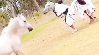 JOKE WITH HORSES