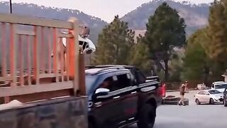CAR IN THE MOUTH