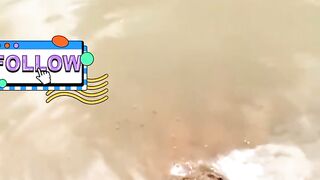 Amazing artificial Liquid for fishing