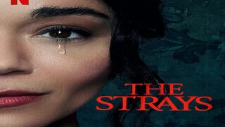 Watch The strays Online free