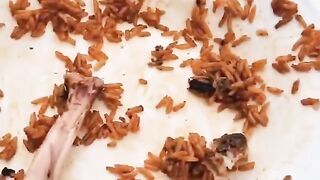 Sean tv comedy videos # funny video