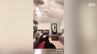 Funny TikToks that make my Monday better ????