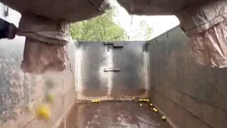 Beautiful Techniques