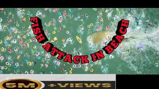 best scene's of world FISH ATTACK IN BEACH
