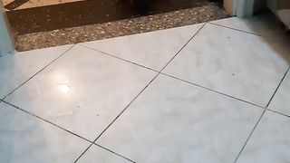 Video funny, catlover ????