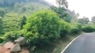 beautiful road and Greeny
