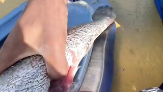 Qui aurait deviné? ???????? #experiencesociale #microtrottoir #poisson