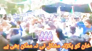 Imran Khan fans pti