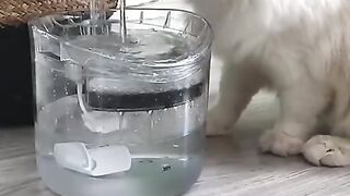 ROJECO Cat Water Fountain Automatic Pet Water Dispenser
