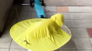 Cute cats