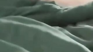 Cat ????