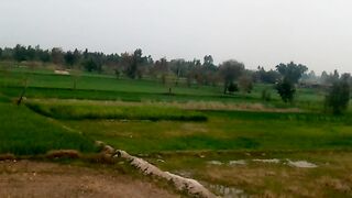 Good morning All farinds