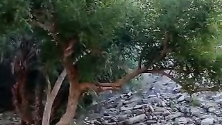 Pakistan k khobsorti pahron mein h