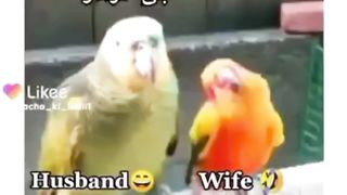 Fun video,like , follow Enjoy.