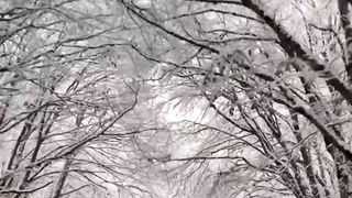 Beautiful winter